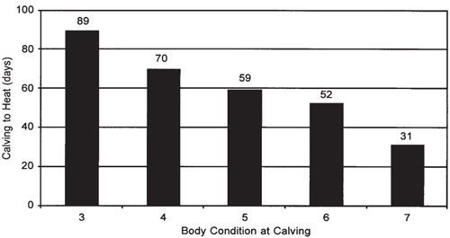 Figure 1. Effect of body condition at calving on postpartum anestrus duration.