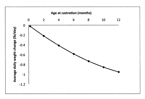 Fig. 04: Average daily weight change of calves castrated by elastic band and surgical castration for the first 30 days post-castration.