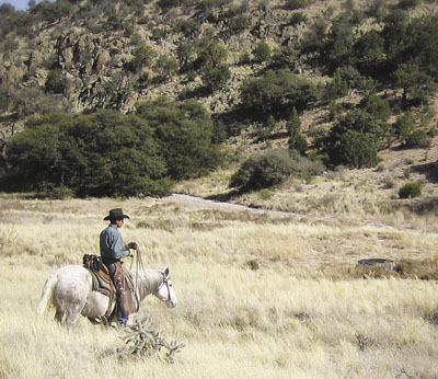 Fig. 1: Photograph of a person riding a horse on open arid rangeland