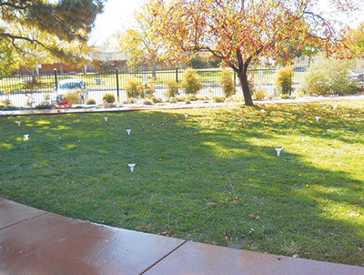 Fig. 6: Photograph of turf area with catch cans for irrigation audit.