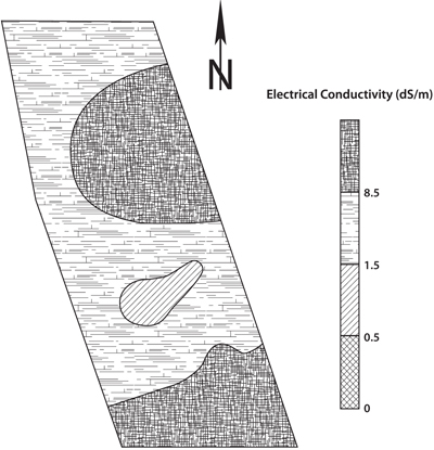 Fig. 3: Map of soluble salts (0-12 inches) in the Otero County vineyard.