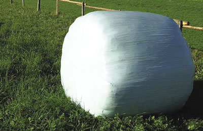 Photo of an alfalfa hay bale covered with a plastic tarp.
