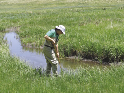 Photograph of a person collecting samples in a stream. 