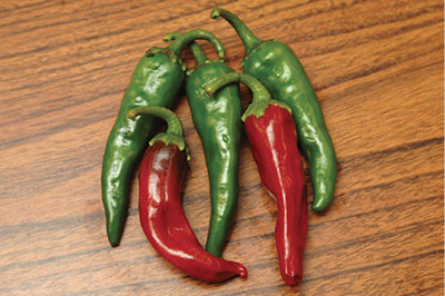 Fig. 3. Photograph of Fruit of the 'Escondida' landrace chile pepper.