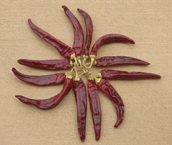 Figure 16. ‘NuMex R. Vince Hernandez’, a high-ASTA red paprika cultivar. 