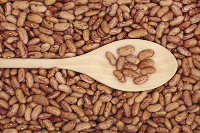 Photograph of uncooked pinto beans and a wooden spoon.