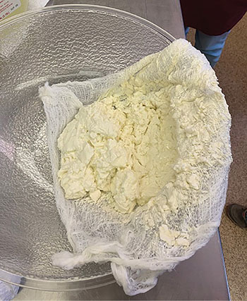 Fig. 06B: Photograph of finished cream cheese in cheesecloth after draining whey.