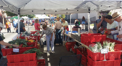 Photograph of a produce stand at a farmers’ market.