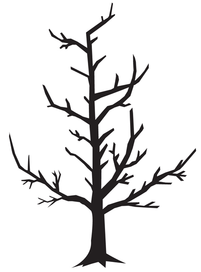 Illustration of a model central leader tree structure.