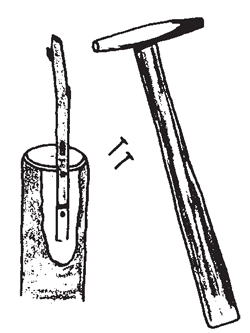 Illustration: Secure the graft by use of two 18-gauge wire nails, 1/2