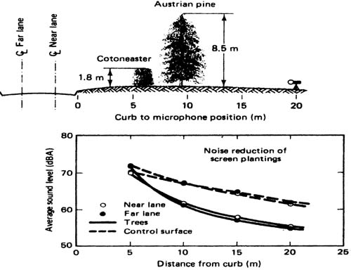 Fig. 2: Illustration of noise reduction (dBa) by tree and shrub barrier near a highway compared to no barrier (Miller, 1988).