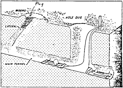 Fig. 3: Illustration of trap placement in main pocket gopher tunnels.