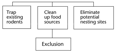 Fig. 5: Schematic diagram of steps to eliminate rodents in a domestic or work stetting. 
