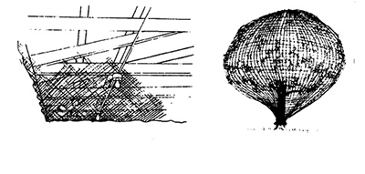 Illustration of netting used to keep birds out of rafters and trees (Lee and Henderson, 1992).