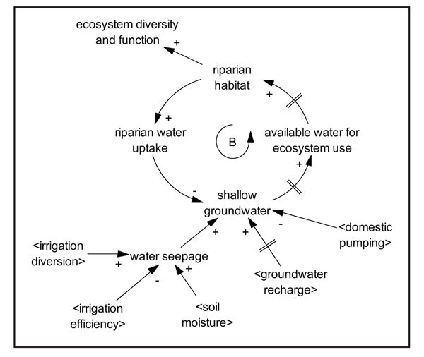 Figure 03: Ecosystem causal loop diagram. The ecosystem causal loop diagram shows important feedback loop processes between riparian habitat, which is driven by available water for ecosystem use.