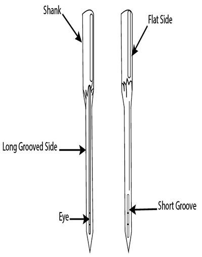 Illustration of the parts of a needle.