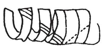 Illustration demonstrating step: Cut a continuous strip, using lines marked as guide.