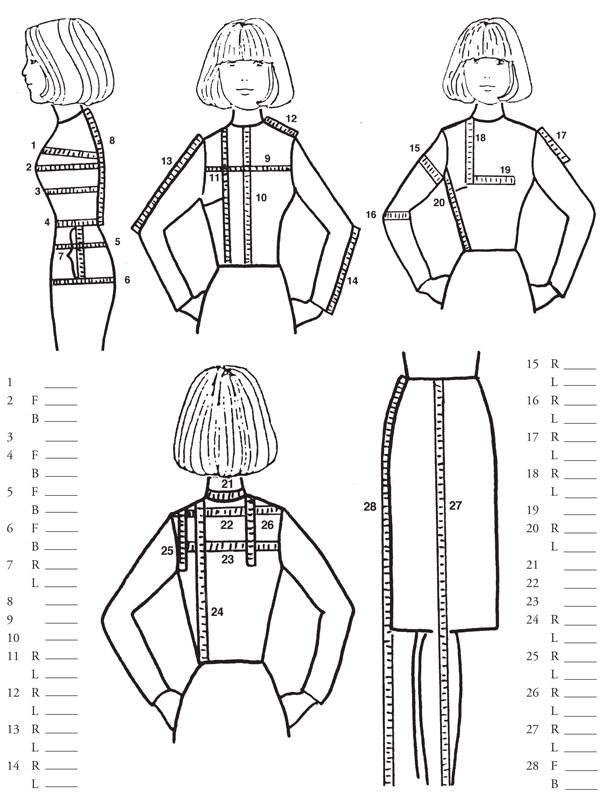 illustration showing where to measure on a body.