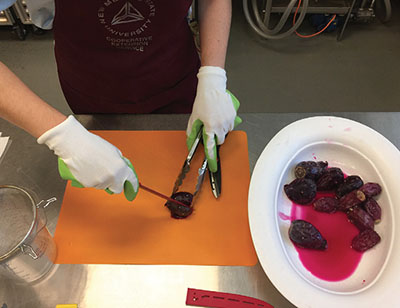 Fig. 04a: Photograph showing a person using tongs and a knife to halve prickly pear fruit.
