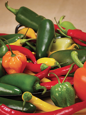 Photograph of chile peppers