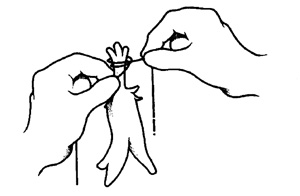 Illustration showing how to tie a half-hitch or overhand knot to secure the pods to the main double strand.
