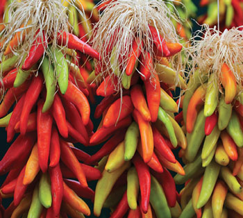 Photograph of chile ristras.