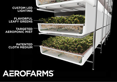 Fig. 09: Photograph of a three-tiered aeroponics system, showing plants growing in a tray with their roots exposed below.