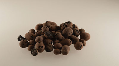 Photograph of pieces of LECA.