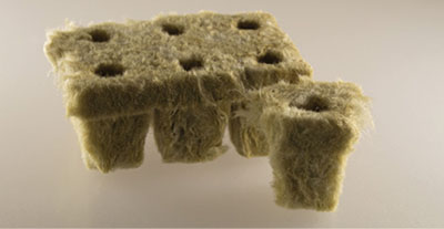 Photograph of several rockwool plugs.