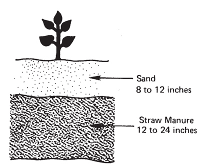 Fig. 2: Illustration of a manure hot bed.