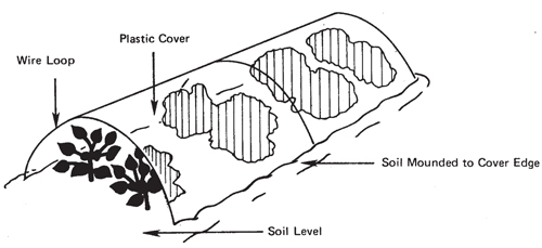 Fig. 4: Illustration of tunnel cloche construction.
