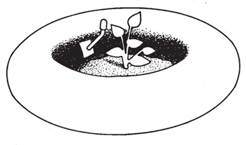 Fig. 6: Illustration of an inner tube used for planting.
