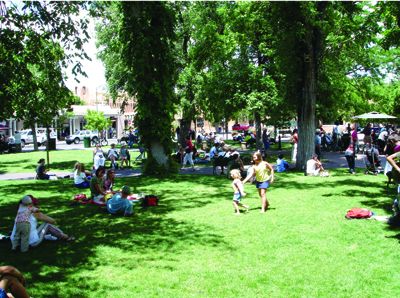 Fig. 1: Photograph of a park with turf areas.