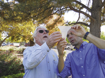 Photo of graduated catch cans used for irrigation audit. The graduated cylinder from Figure 1 is not needed and the volume may be read directly from the catch can. 