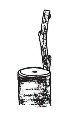 Illustration: Push graft into inlay slot until the 1/4