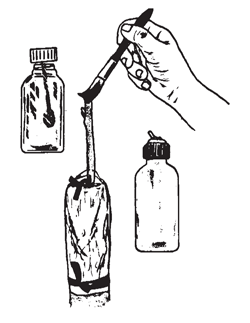 Illustration: Coat the cut surface of the tip end of the graft with orange shellac. Use the shellac from a closed container with a paint brush, or shoe shine bottle with a dauber, or from a plastic dispenser bottle with a flip spout.