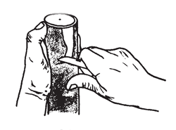 Illustration: Cut a clean shield by removing a thin layer of the rough outer bark. Leave the bark as thick as possible so as to hold the graft securely.