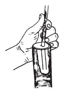 Illustration: Two parallel cuts through bark form an inlay pattern. This inlay pattern should be exactly the same size as the lower section of the graft.
