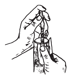 Illustration: Peel back the inlay flap of bark 1/2