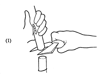 Fig. 1: Illustration of cutting the graftwood. 