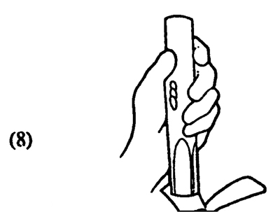 Fig. 8: Illustration of inserting the cut, squared scion into the bark flaps of the stock. 