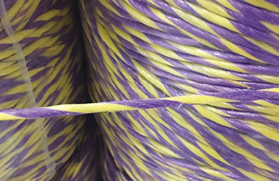 Fig. 01: Photograph of yellow and purple twine attached to certain noxious weed free products.