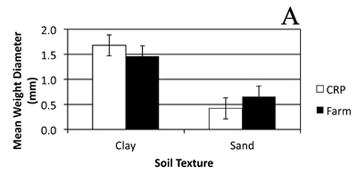 Graph of mean weight diameter in the CRP and farmland under different soil textures.