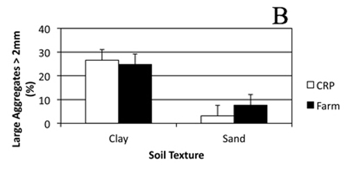 Graph of large aggregates in the CRP and farmland under different soil textures.