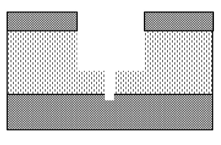 Diagram showing excavation of caliche layer for plant establishment. 