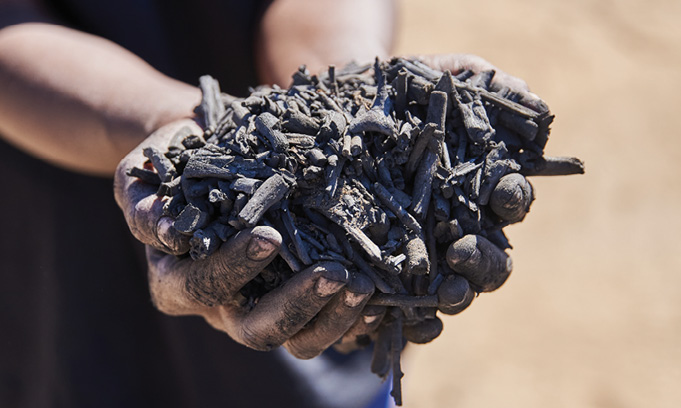 Hands holding a pile of biochar.
