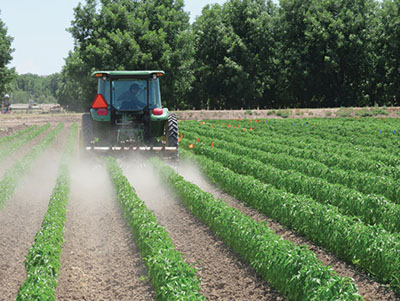 Fig. 03: Photograph of a tractor driving through rows of chile in a field.