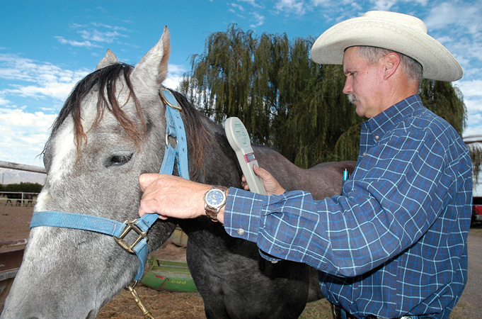 A veterinarian wearing a white cowboy hat and a blue and white checkered button-up shirt stands next to a grey horse. He is holding a device that detects the identification microchip implanted in the horse. The horse has sky blue reins, and the photo focuses on the man and the microchip device, cropping the horse’s face slightly. The shot is taken from the waist up of the man.