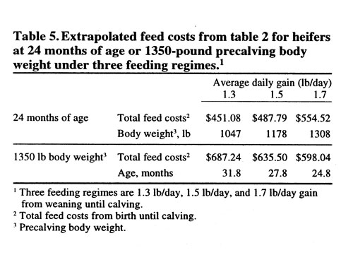 Table 5 with data about extrapolated feed costs from table 2 for heifers at 24 months of age or 1350-pound precalving body wieght under three feeding regimes.