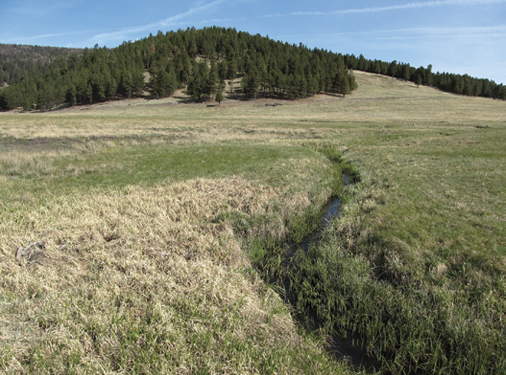 Fig. 02: Photograph of an open pasture on the Valles Caldera National Preserve.